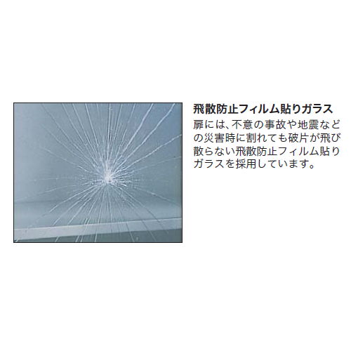 ガラス両開き書庫 ナイキ H1050mm ホワイトカラー CW型 CW-0911KG-WW W899×D450×H1050(mm)商品画像3