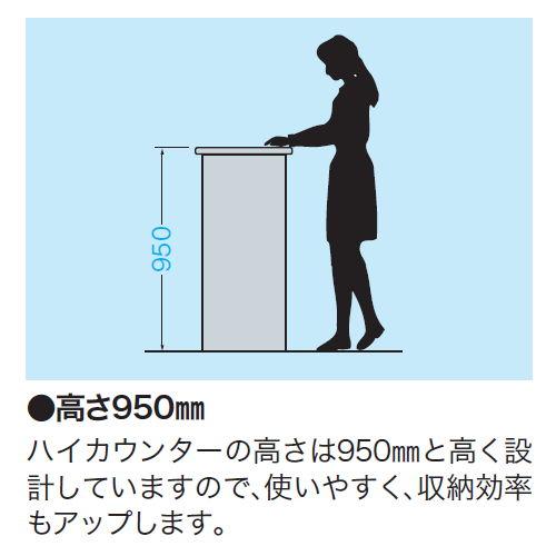 【WEB販売休止中】カウンター ハイカウンター ナイキ SNC型 錠付き・総扉タイプ SNC0990AK W900×D460×H950(mm)商品画像8